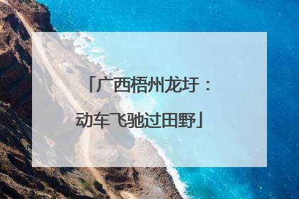 广西梧州龙圩：动车飞驰过田野