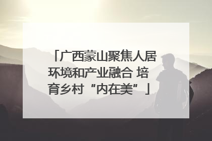 广西蒙山聚焦人居环境和产业融合 培育乡村“内在美”