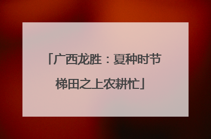 广西龙胜：夏种时节 梯田之上农耕忙