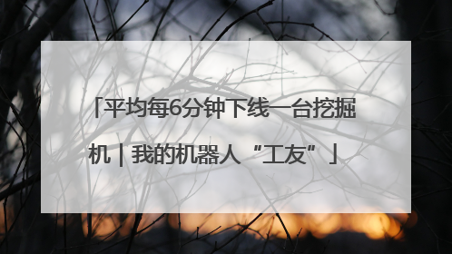 平均每6分钟下线一台挖掘机｜我的机器人“工友”