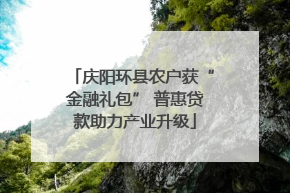 庆阳环县农户获“金融礼包” 普惠贷款助力产业升级