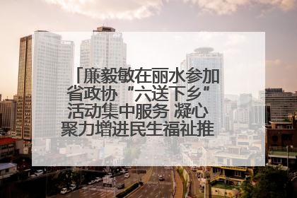 廉毅敏在丽水参加省政协“六送下乡”活动集中服务 凝心聚力增进民生福祉推进共同富裕