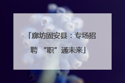 廊坊固安县：专场招聘 “职”通未来