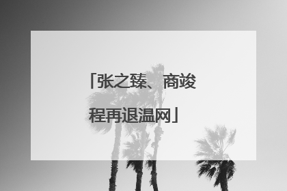 张之臻、商竣程再退温网