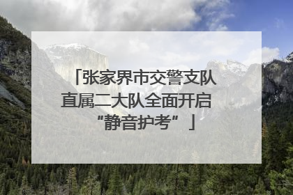 张家界市交警支队直属二大队全面开启“静音护考”