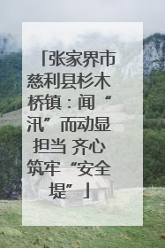 张家界市慈利县杉木桥镇：闻“汛”而动显担当 齐心筑牢“安全堤”