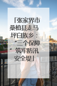 张家界市桑植县走马坪白族乡：“三个保障”筑牢防汛安全堤
