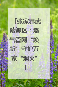 张家界武陵源区：燃气管网“焕新”守护万家“烟火”