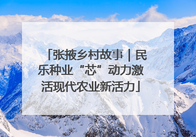 张掖乡村故事｜民乐种业“芯”动力激活现代农业新活力