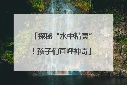 探秘“水中精灵”！孩子们直呼神奇