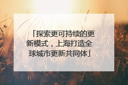 探索更可持续的更新模式，上海打造全球城市更新共同体