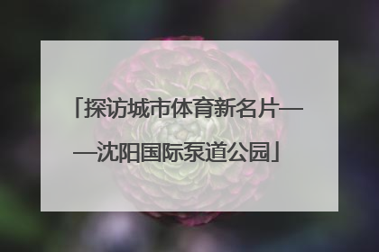 探访城市体育新名片——沈阳国际泵道公园
