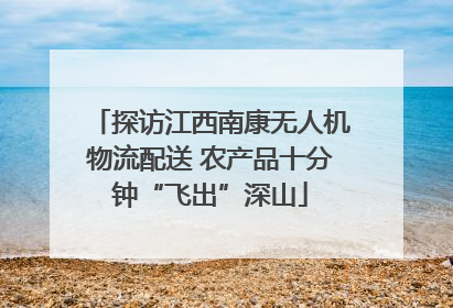 探访江西南康无人机物流配送 农产品十分钟“飞出”深山
