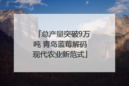 总产量突破9万吨 青岛蓝莓解码现代农业新范式