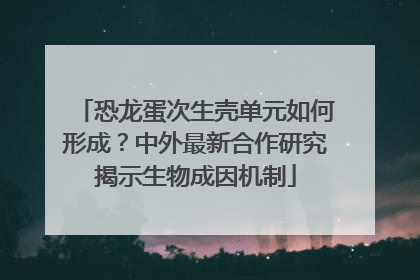 恐龙蛋次生壳单元如何形成？中外最新合作研究揭示生物成因机制