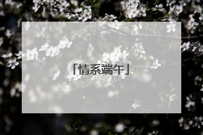 情系端午