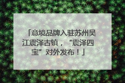意境品牌入驻苏州吴江震泽古镇，“震泽四宝”对外发布！