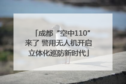 成都“空中110”来了 警用无人机开启立体化巡防新时代
