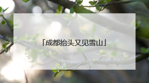 成都抬头又见雪山