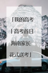 我的高考丨高考首日 海南家长花式送考