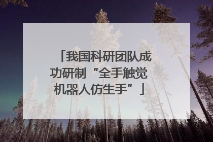 我国科研团队成功研制“全手触觉机器人仿生手”