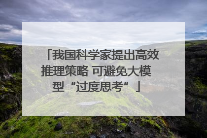 我国科学家提出高效推理策略 可避免大模型“过度思考”