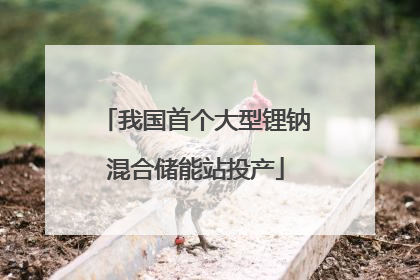 我国首个大型锂钠混合储能站投产