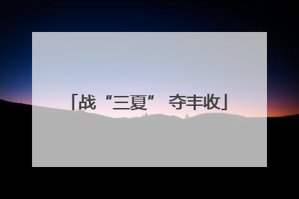 战“三夏” 夺丰收