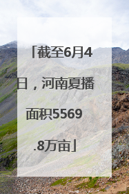 截至6月4日，河南夏播面积5569.8万亩