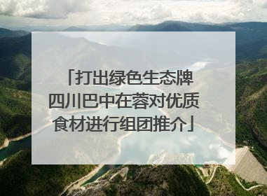 打出绿色生态牌 四川巴中在蓉对优质食材进行组团推介