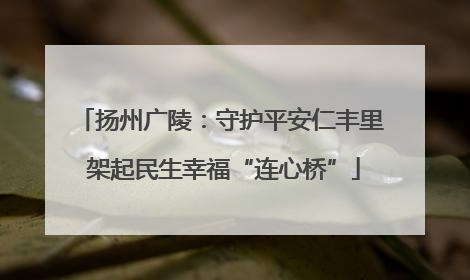 扬州广陵：守护平安仁丰里 架起民生幸福“连心桥”