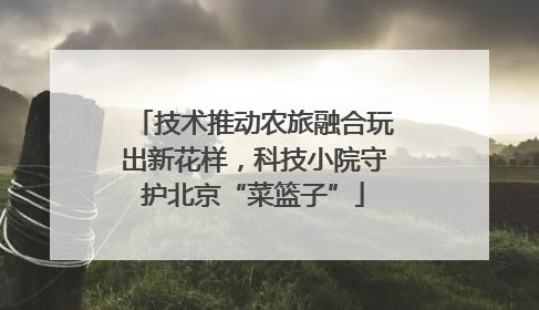 技术推动农旅融合玩出新花样，科技小院守护北京“菜篮子”