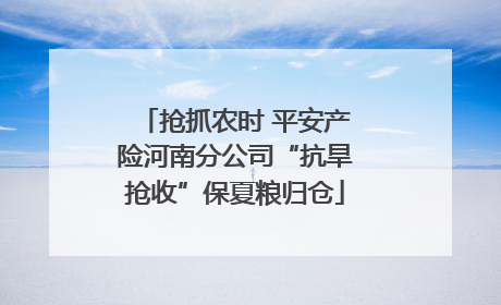 抢抓农时 平安产险河南分公司“抗旱抢收”保夏粮归仓