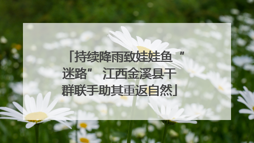 持续降雨致娃娃鱼“迷路” 江西金溪县干群联手助其重返自然