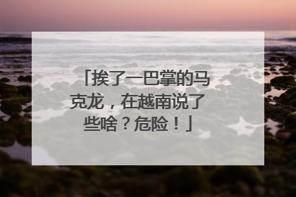 挨了一巴掌的马克龙，在越南说了些啥？危险！