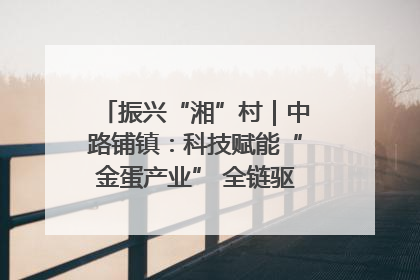 振兴“湘”村｜中路铺镇：科技赋能“金蛋产业” 全链驱动乡村振兴