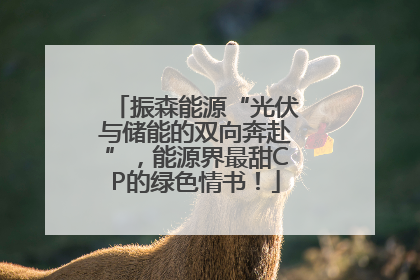 振森能源“光伏与储能的双向奔赴”，能源界最甜CP的绿色情书！