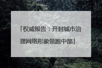 权威报告：开封城市治理网络形象领跑中部