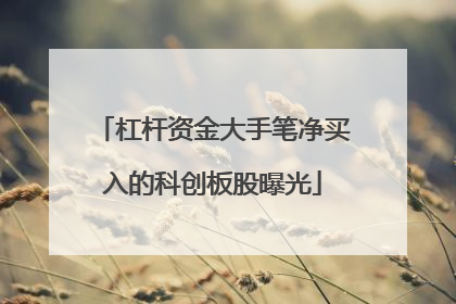 杠杆资金大手笔净买入的科创板股曝光