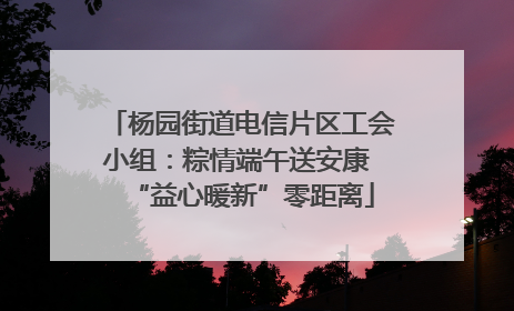 杨园街道电信片区工会小组：粽情端午送安康 “益心暖新”零距离