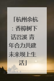 杭州余杭：香樟树下话苕溪 青年合力共建未来坝上生活