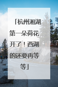 杭州湘湖第一朵荷花开了！西湖的还要再等等