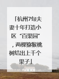 杭州7旬夫妻十年打造小区“百果园”，两棵猕猴桃树结出上千个果子