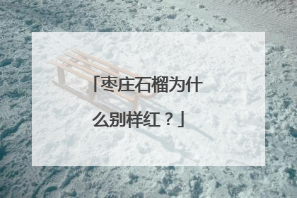 枣庄石榴为什么别样红？