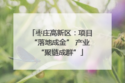 枣庄高新区：项目“落地成金” 产业“聚链成群”
