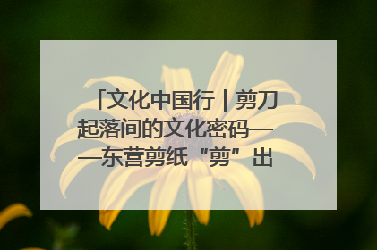 文化中国行｜剪刀起落间的文化密码——东营剪纸“剪”出非遗传承与现代生活的融合之道