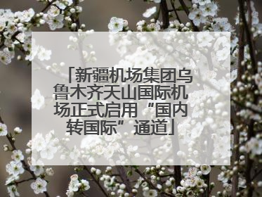 新疆机场集团乌鲁木齐天山国际机场正式启用“国内转国际”通道