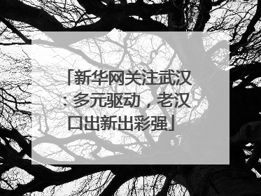 新华网关注武汉：多元驱动，老汉口出新出彩强