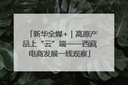 新华全媒+｜高原产品上“云”端——西藏电商发展一线观察