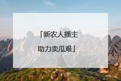 新农人播主 助力卖瓜难